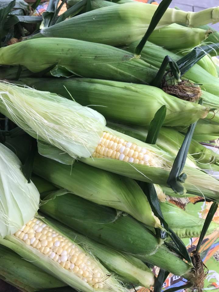 Corn roast/ eating contest at local fair
