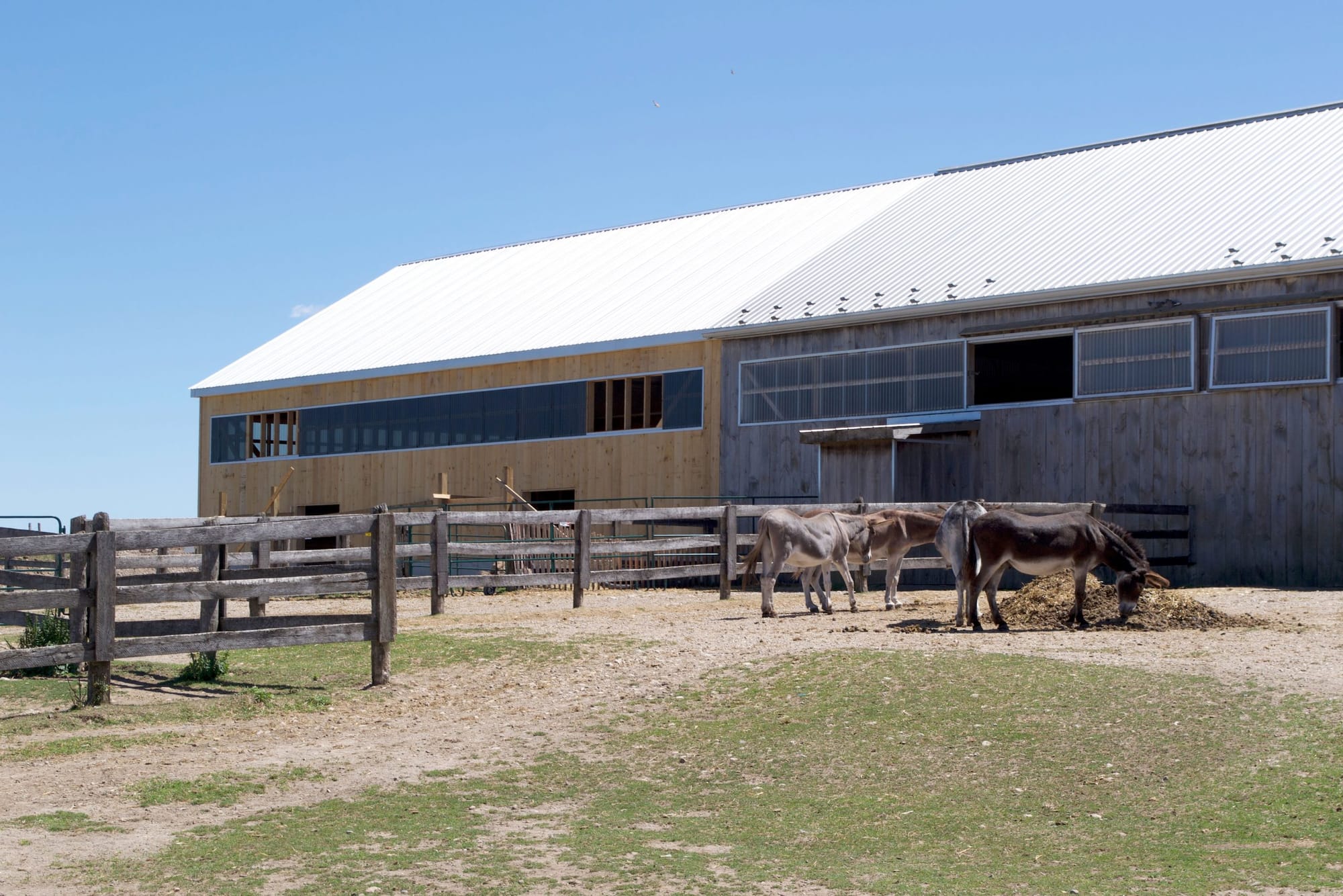 Donkey Sanctuary expands facilities with $2.5 million project