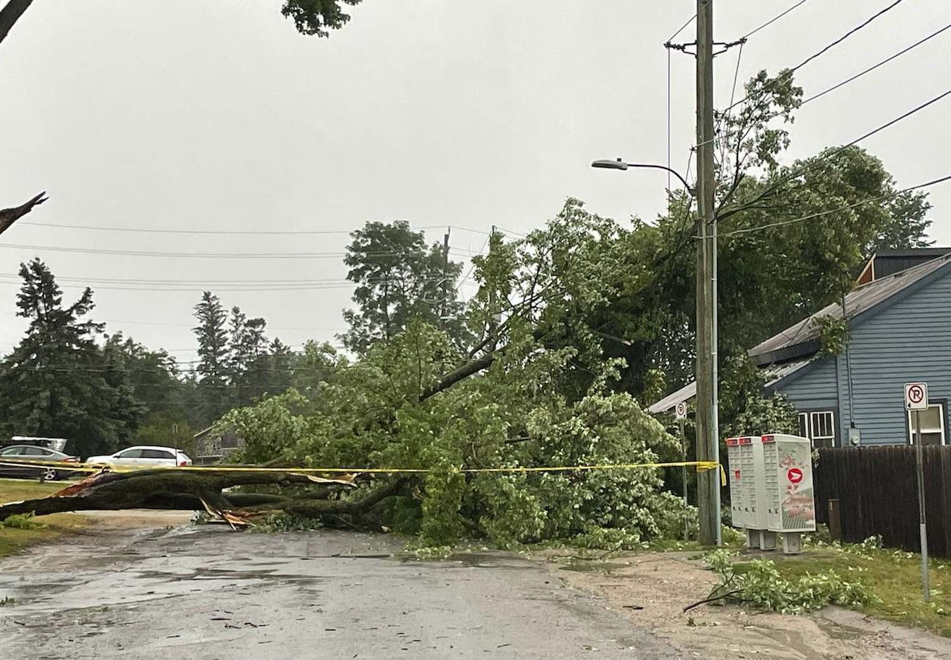 Storm causes major tree damage, widespread power outages