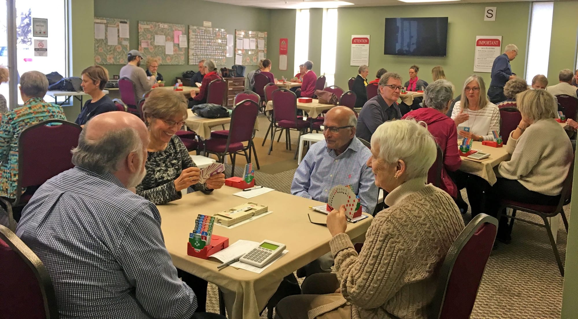 Learn bridge, meet friends