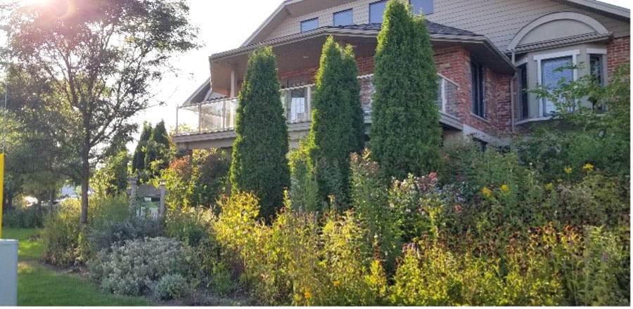 Pollination Guelph holding garden open house at Hospice Wellington