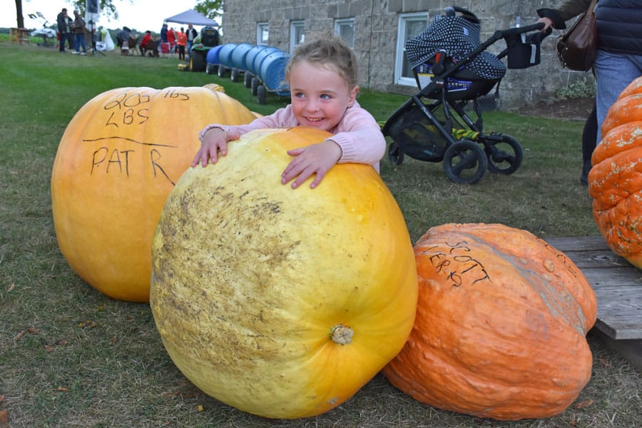 Metz Pumpkinfest a fun event for all