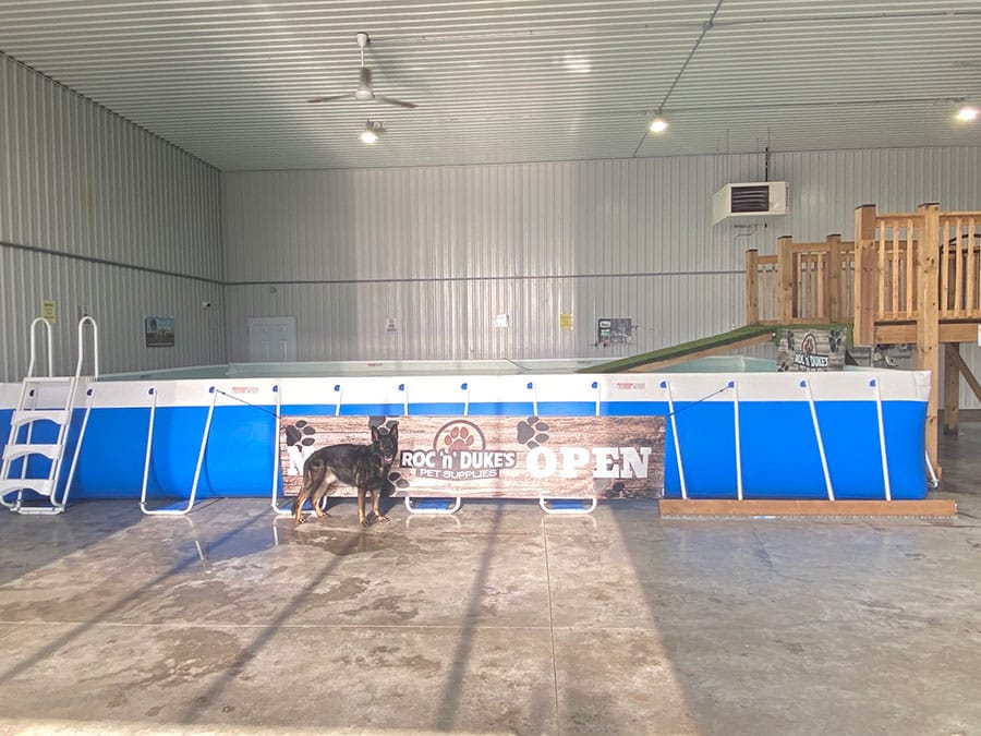 New training, dock diving aquatic centre making a splash with dogs in Mount Forest