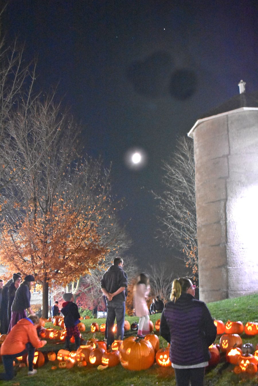 Wellington County Museum hosted annual Pumpkin Walk