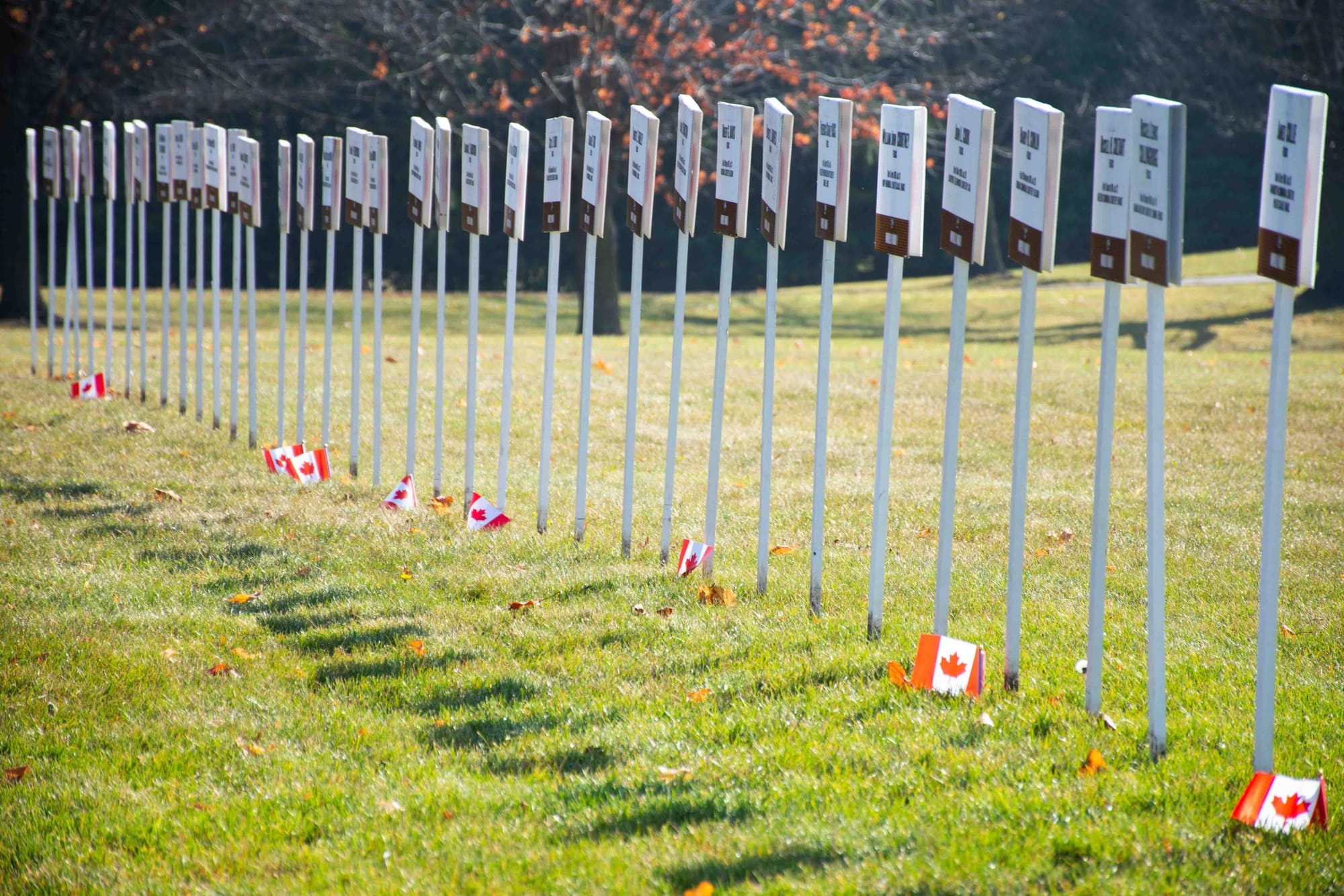 Remembrance Day 2022 - Lest We Forget