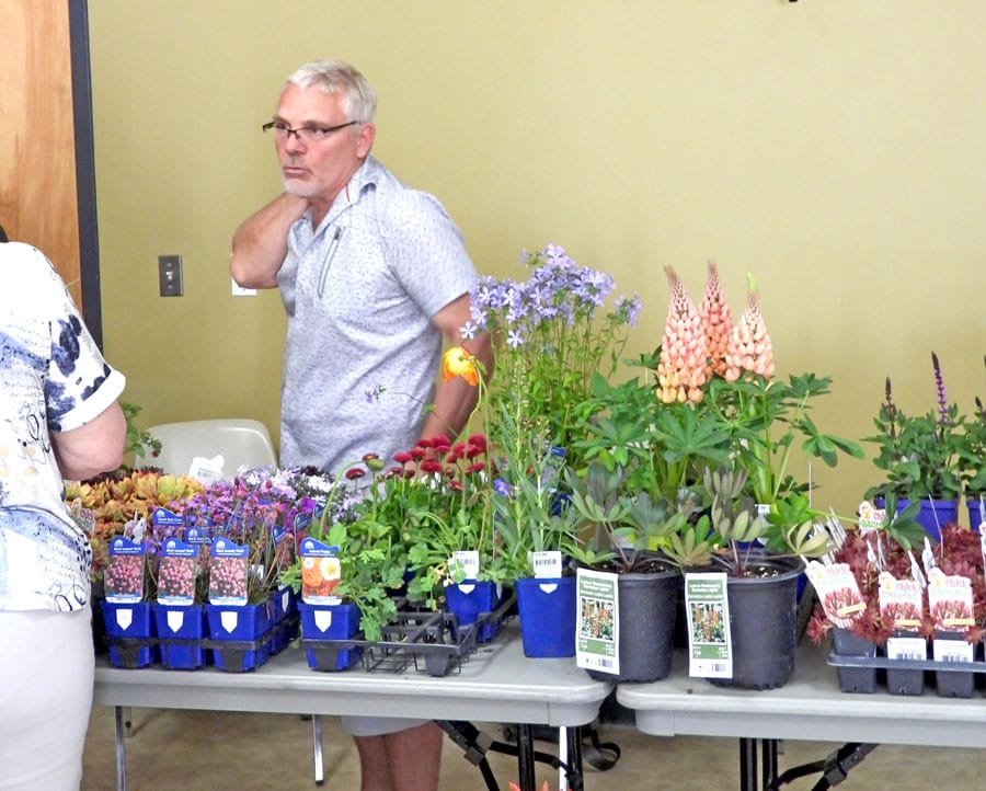 Mount Forest Horticultural Society's first flower show of the season