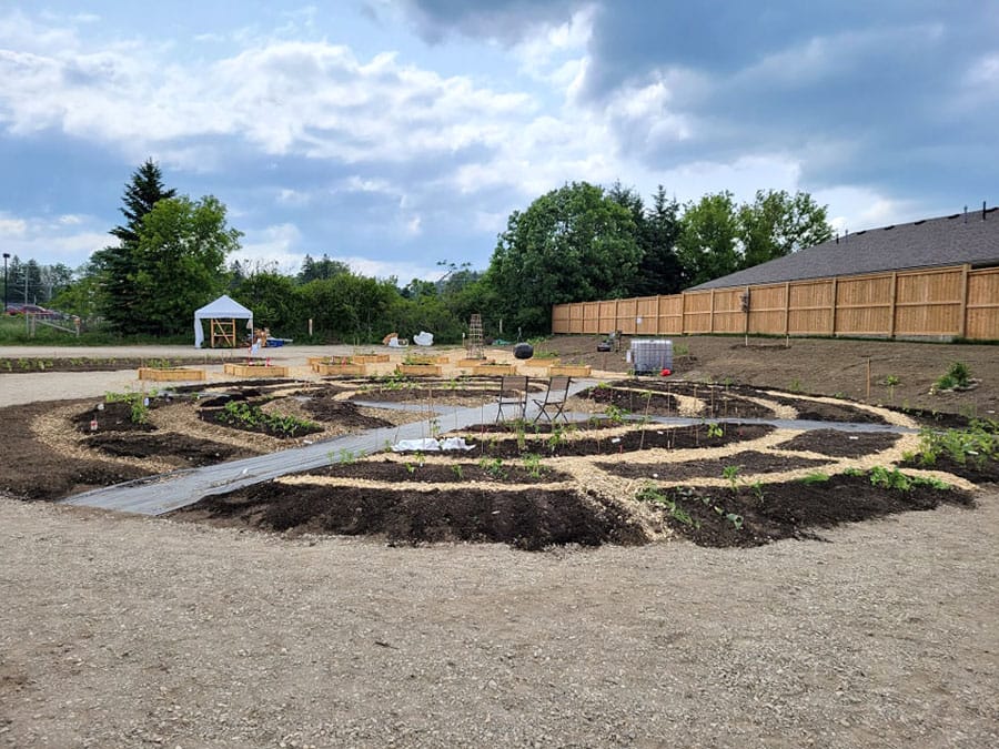 Community garden grows food, friends and partnerships in Mount Forest