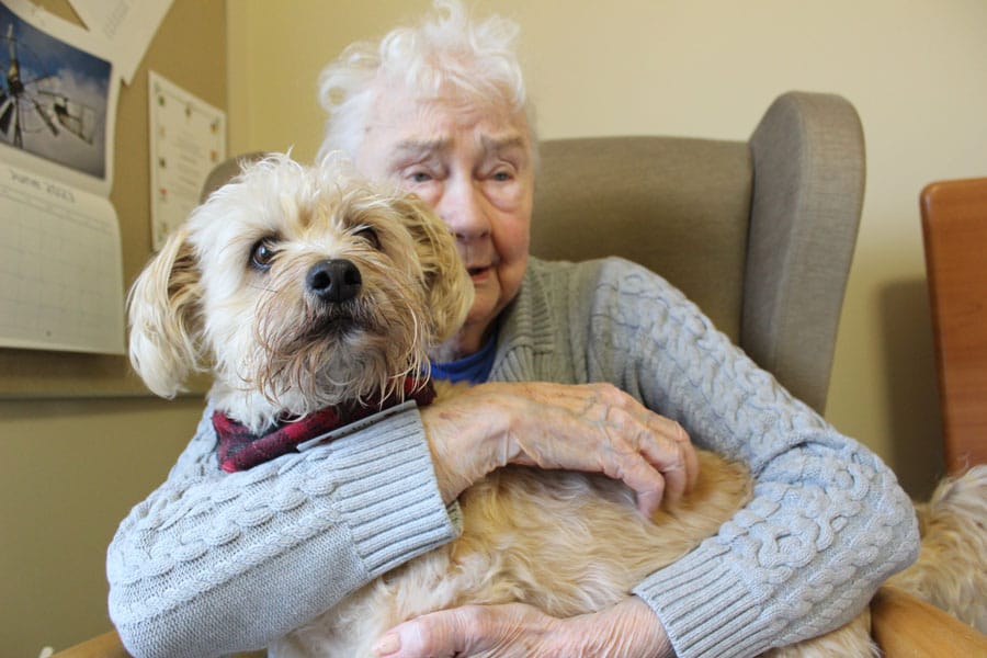 ‘Little Cliff’ brings comfort, joy, purpose to Wellington Terrace residents