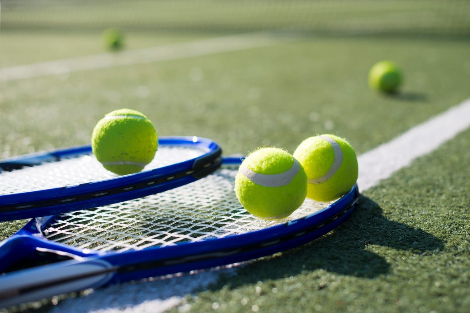 Fergus Tennis Club hopes township will help find, fund a new domed facility