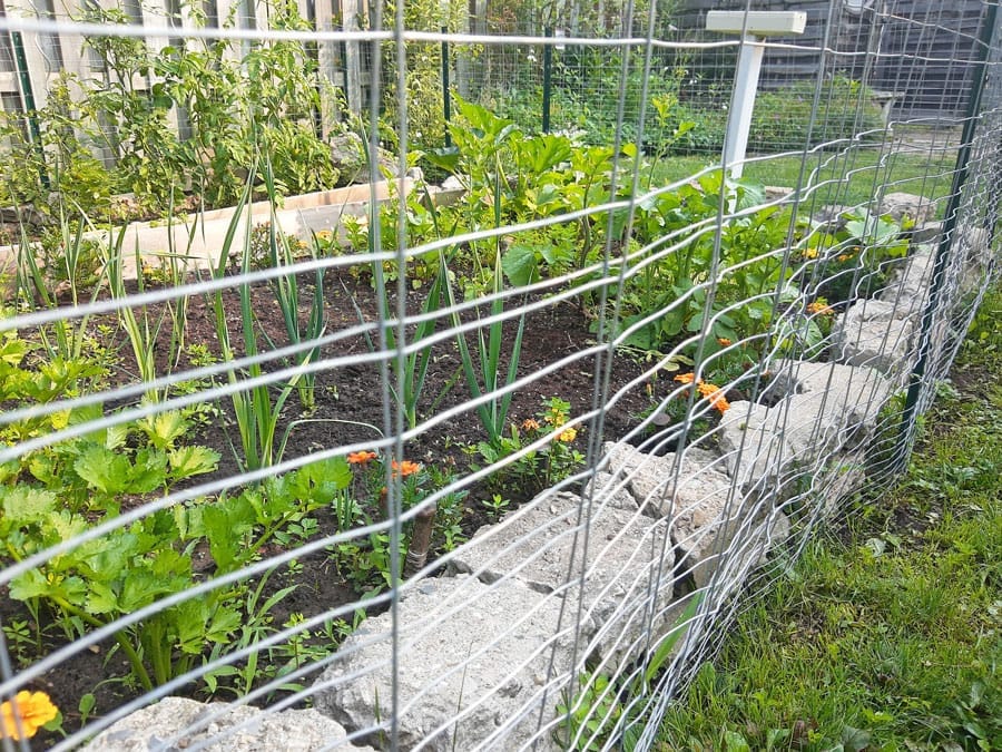 OPINION: Be vewey quiet! We’re hunting wabbits