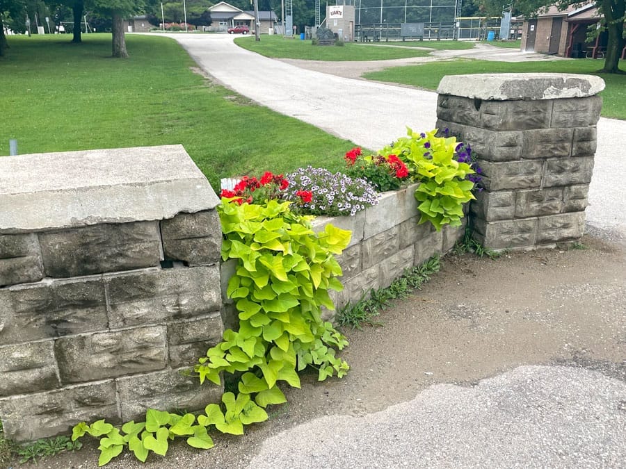 Mapleton Buds and Blooms busy tending gardens