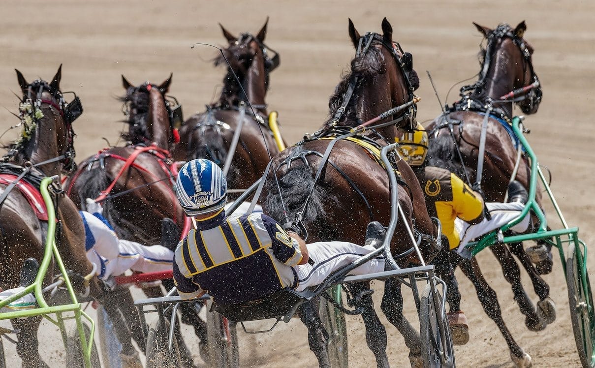 Commission suspends trainer, issues $11,000 fine for ‘suspicious death’ of racehorse