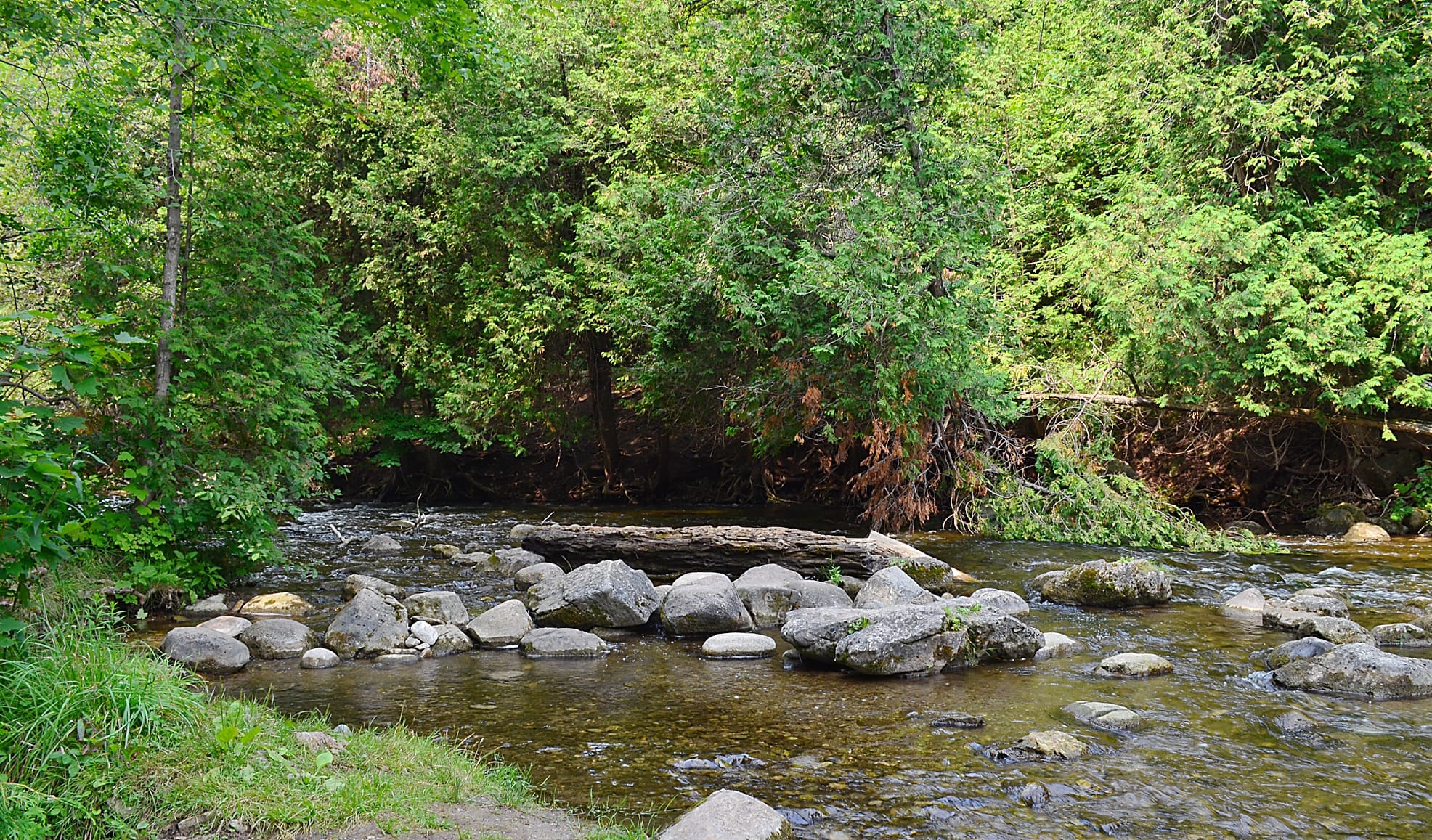 CVC to monitor impact of Erin wastewater treatment plant on West Credit River