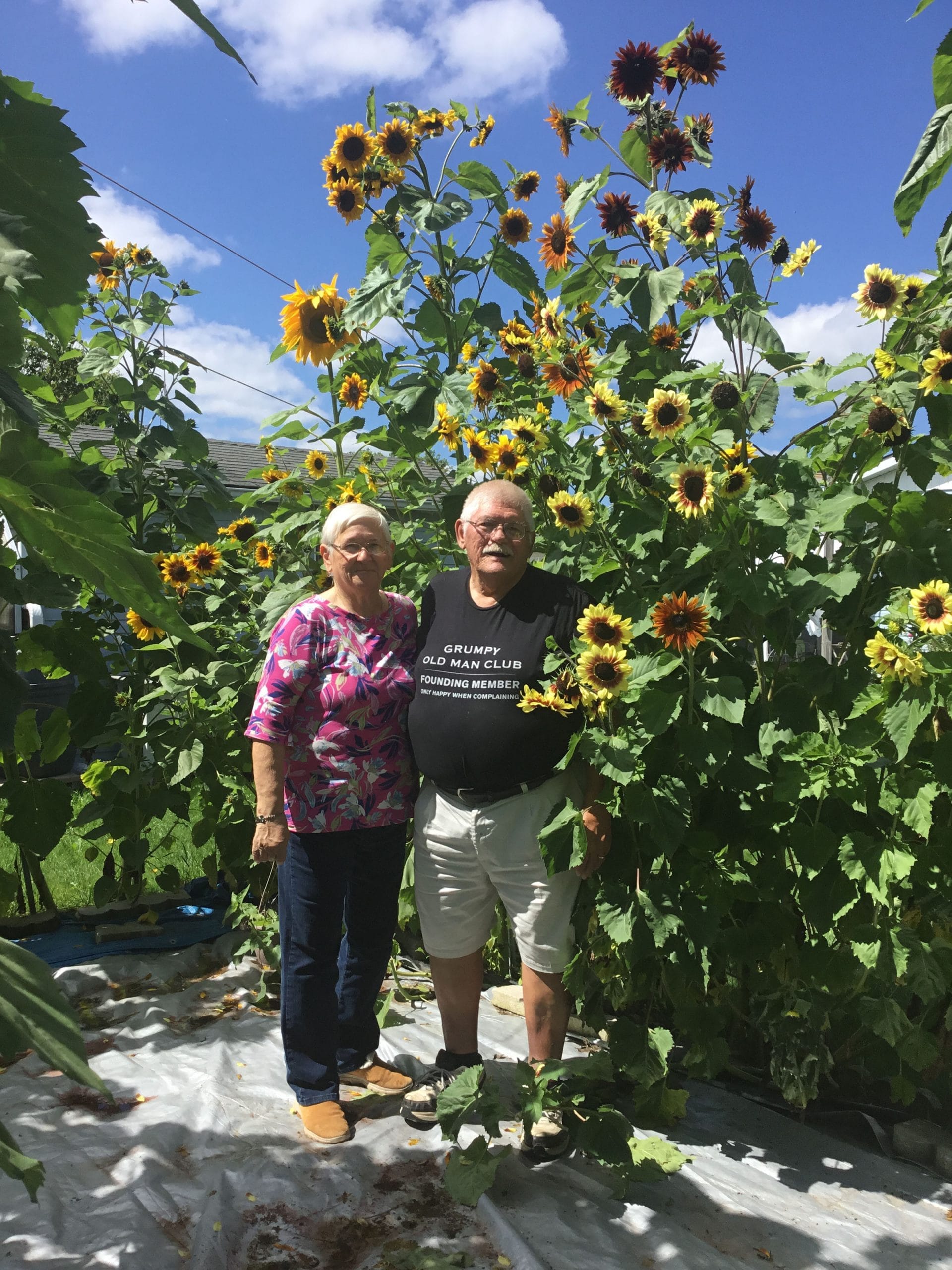 Seed saving experts share advice on collecting and storing seeds