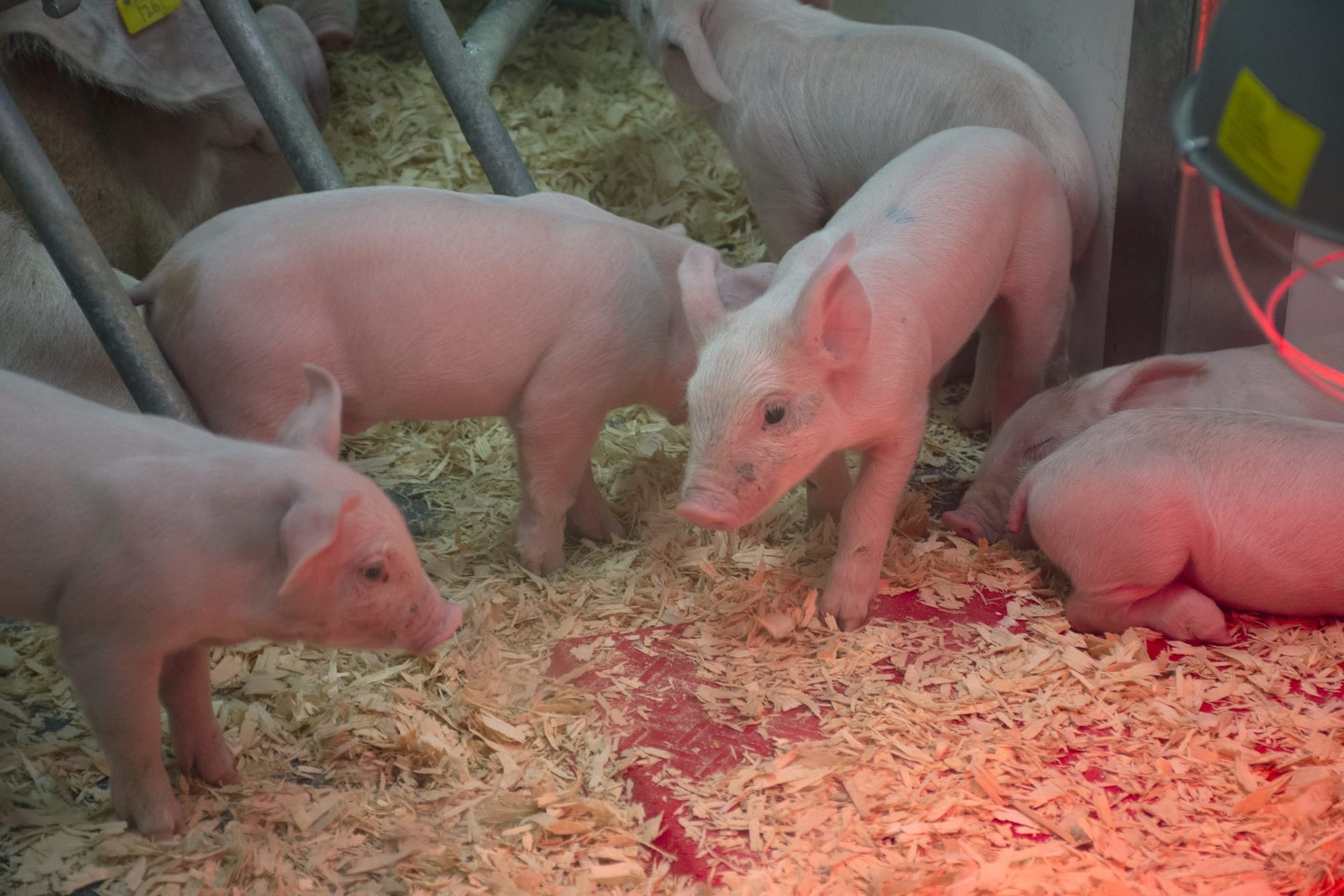 Groups partner with school board  for ThinkAG Career Competition