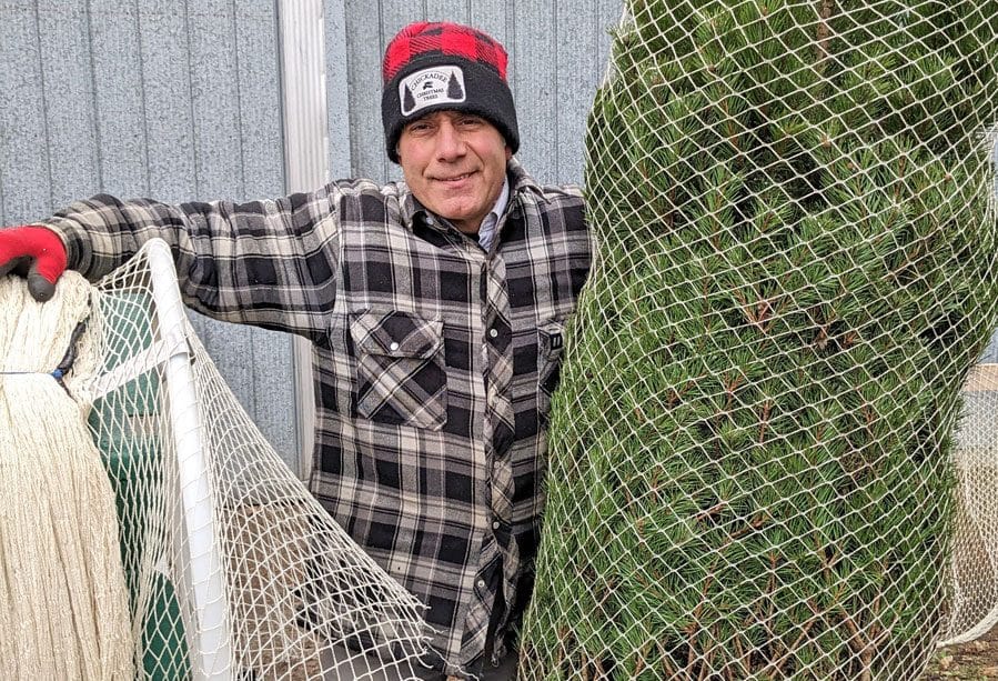 'Bio nets' make real Christmas trees really sustainable
