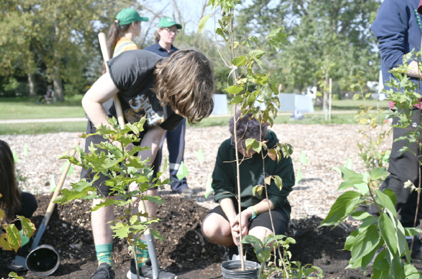 Students help kick off mini-forest project