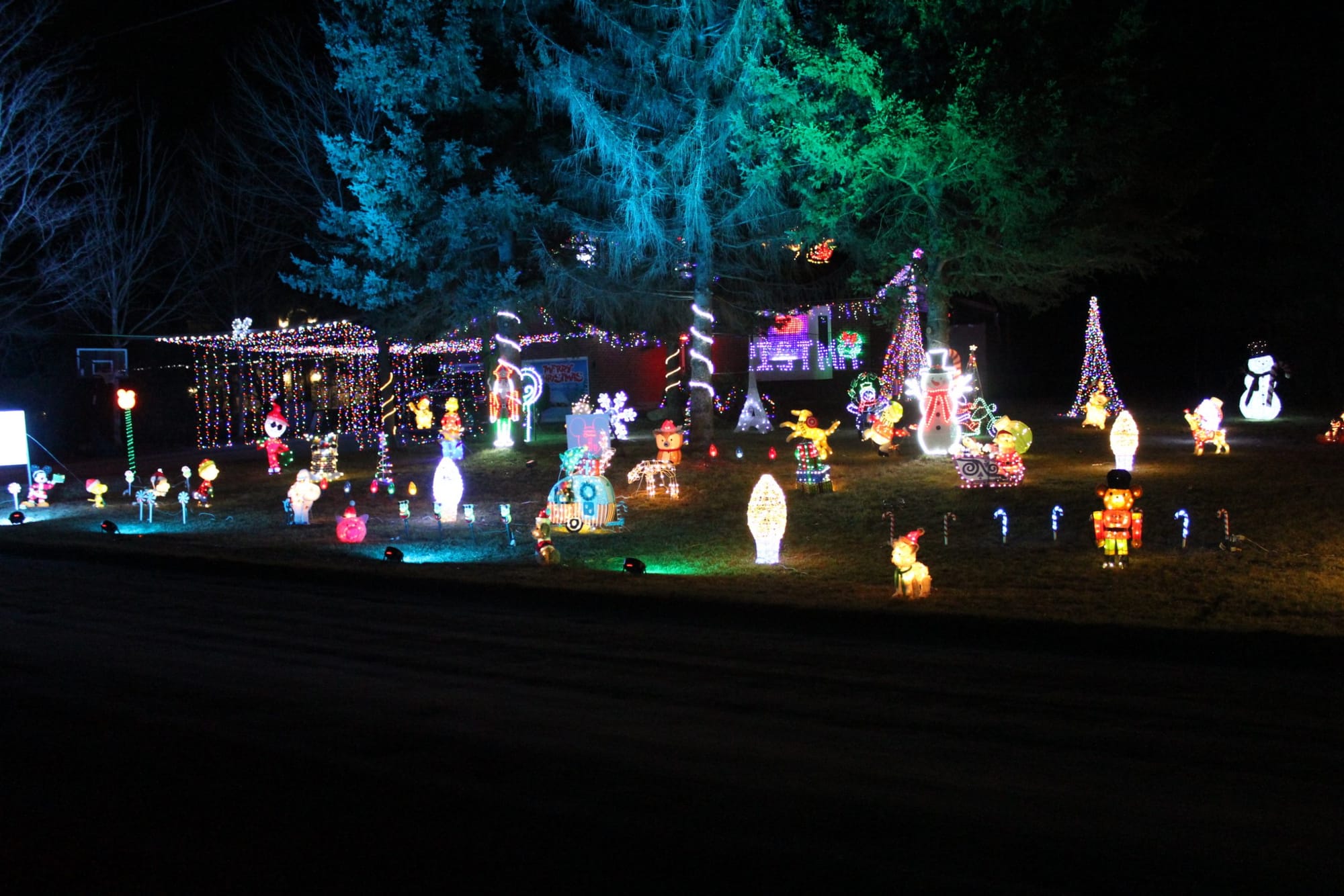 Puslinch Christmas lights fundraise for cancer research