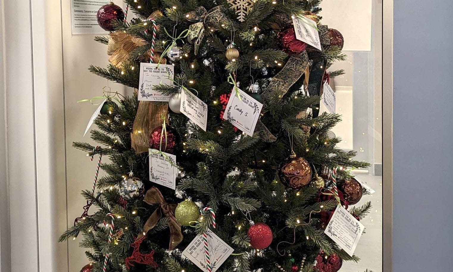 ‘Light Up Louise Marshall Hospital’ fundraiser to bring holiday cheer