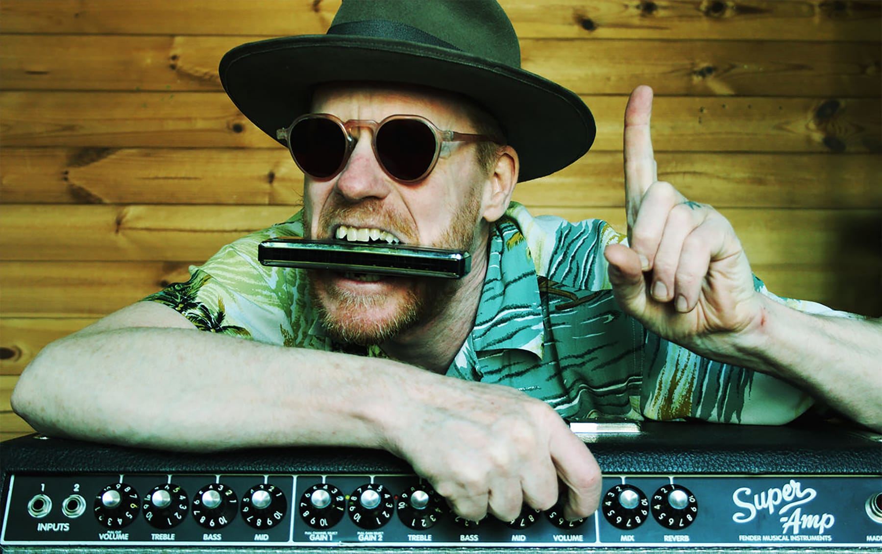 Son of Dave coming to McCabe's Irish Pub and Grill