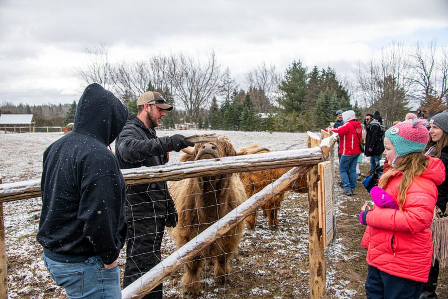March Break fun at Erin Hill Acres