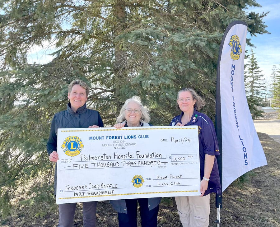 Lions boost MRI campaign