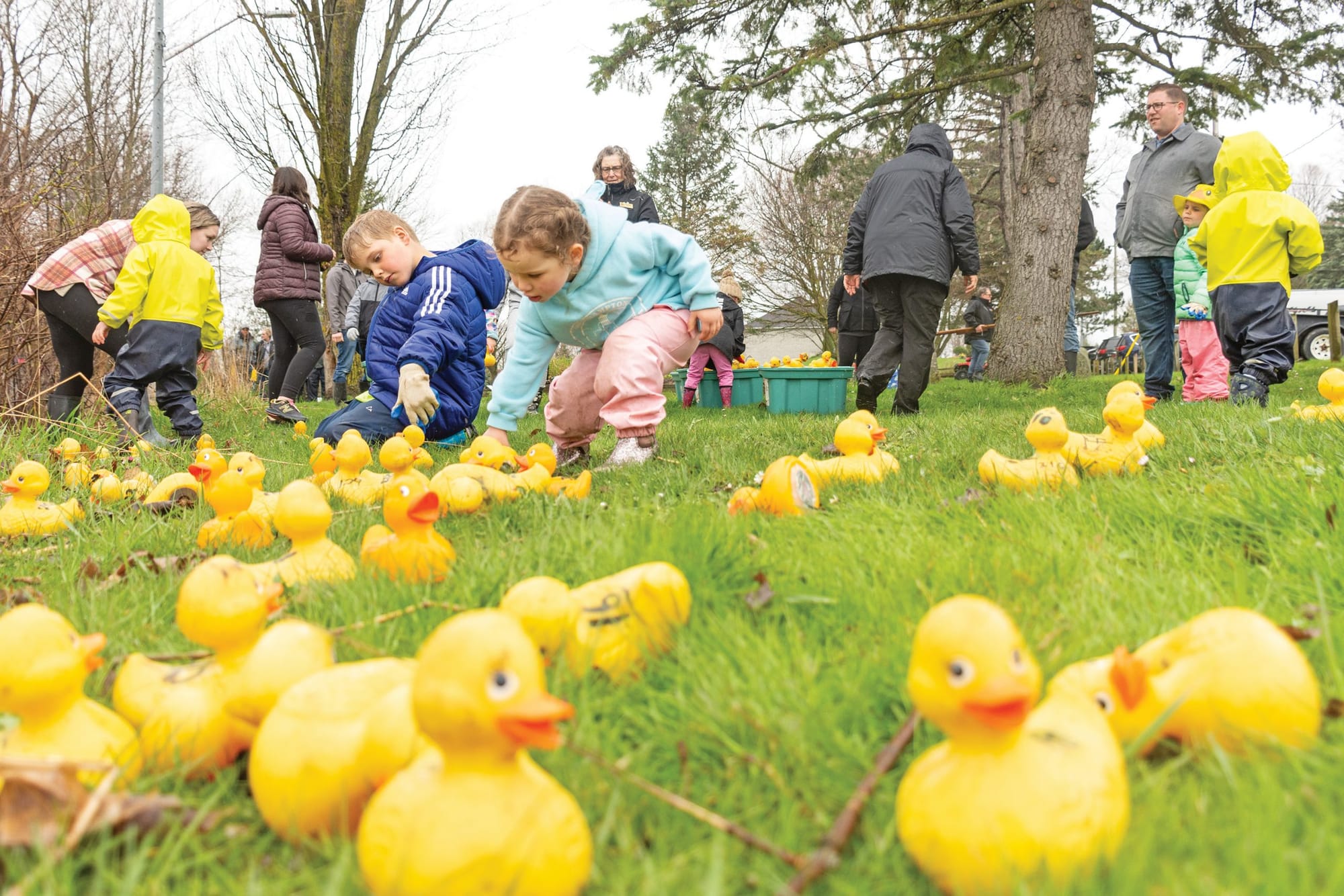 Trees and Quackers event to raise money for park maintenance