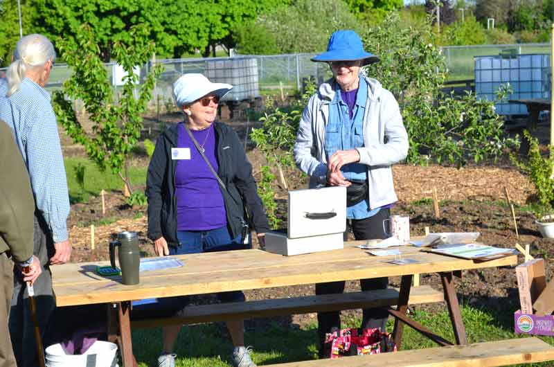 Grab some cash - the Fergus Hort plant sale is coming