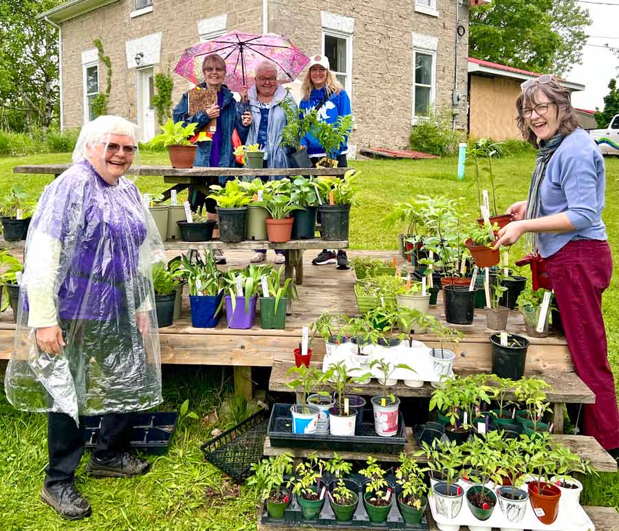 Fergus and District Horticultural Society's annual plant sale
