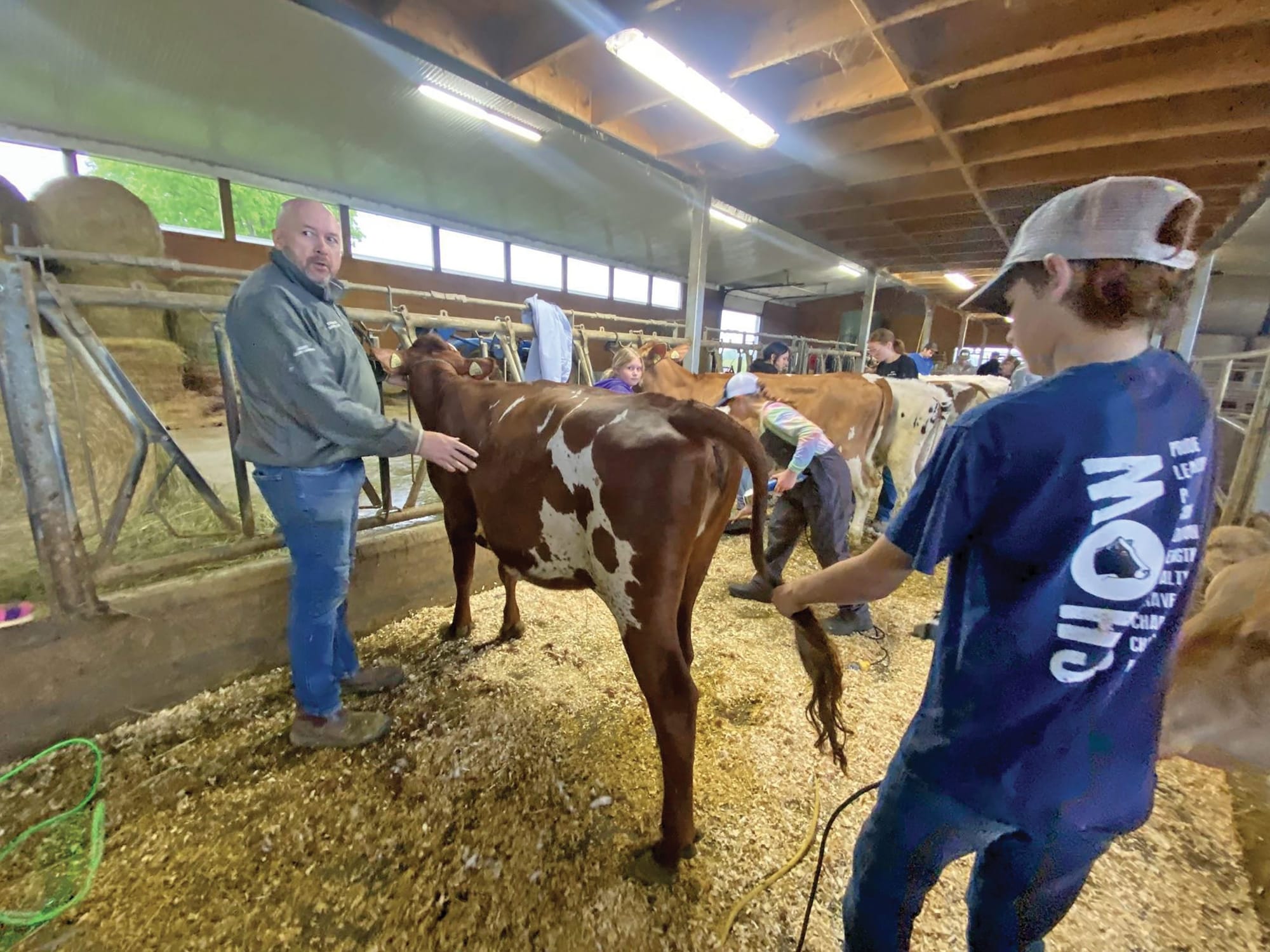 Eramosa 4-H Dairy Club members prep for upcoming shows and fairs