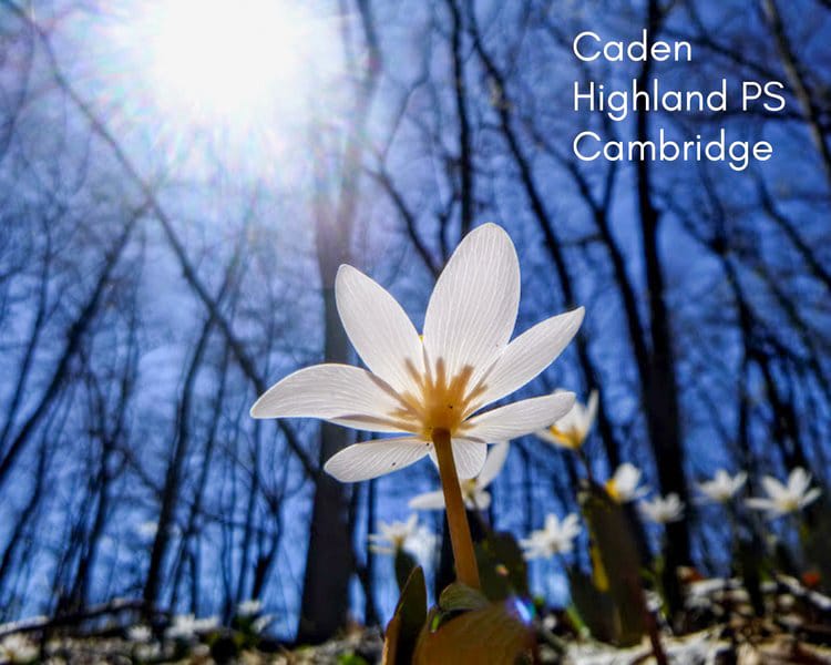 Annual Focus on Nature Garden Party slated for Sept. 14