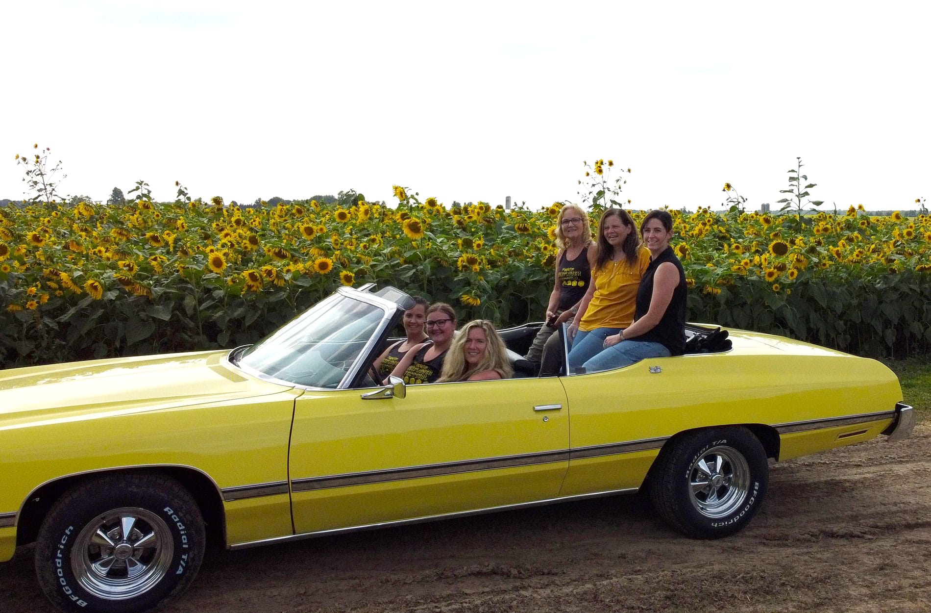 Letters: thanks from festival; centre hosting celebration