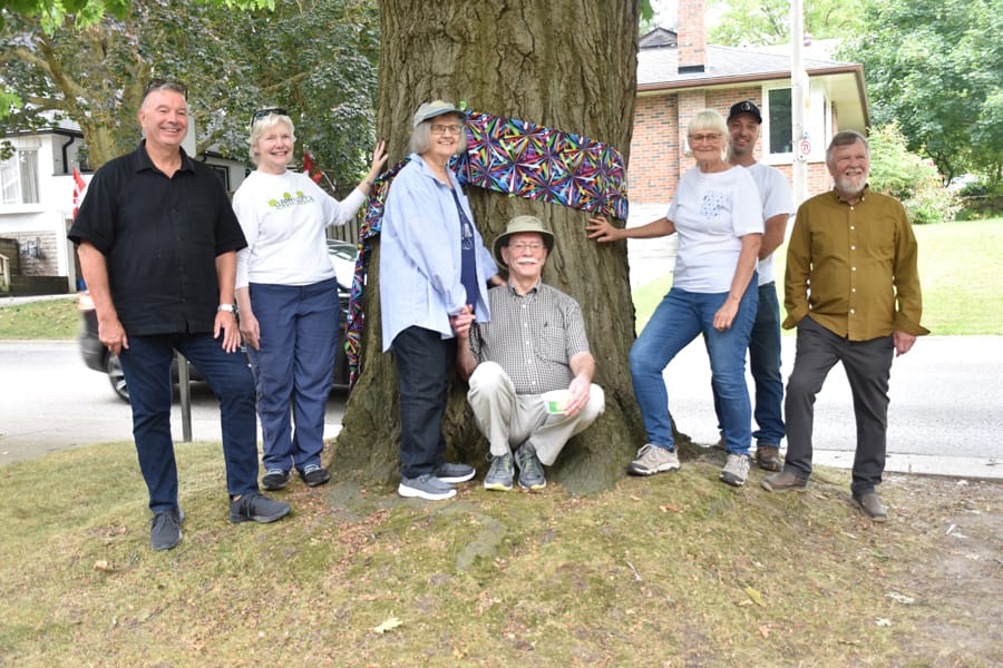 Centre Wellington’s Tree of the Year