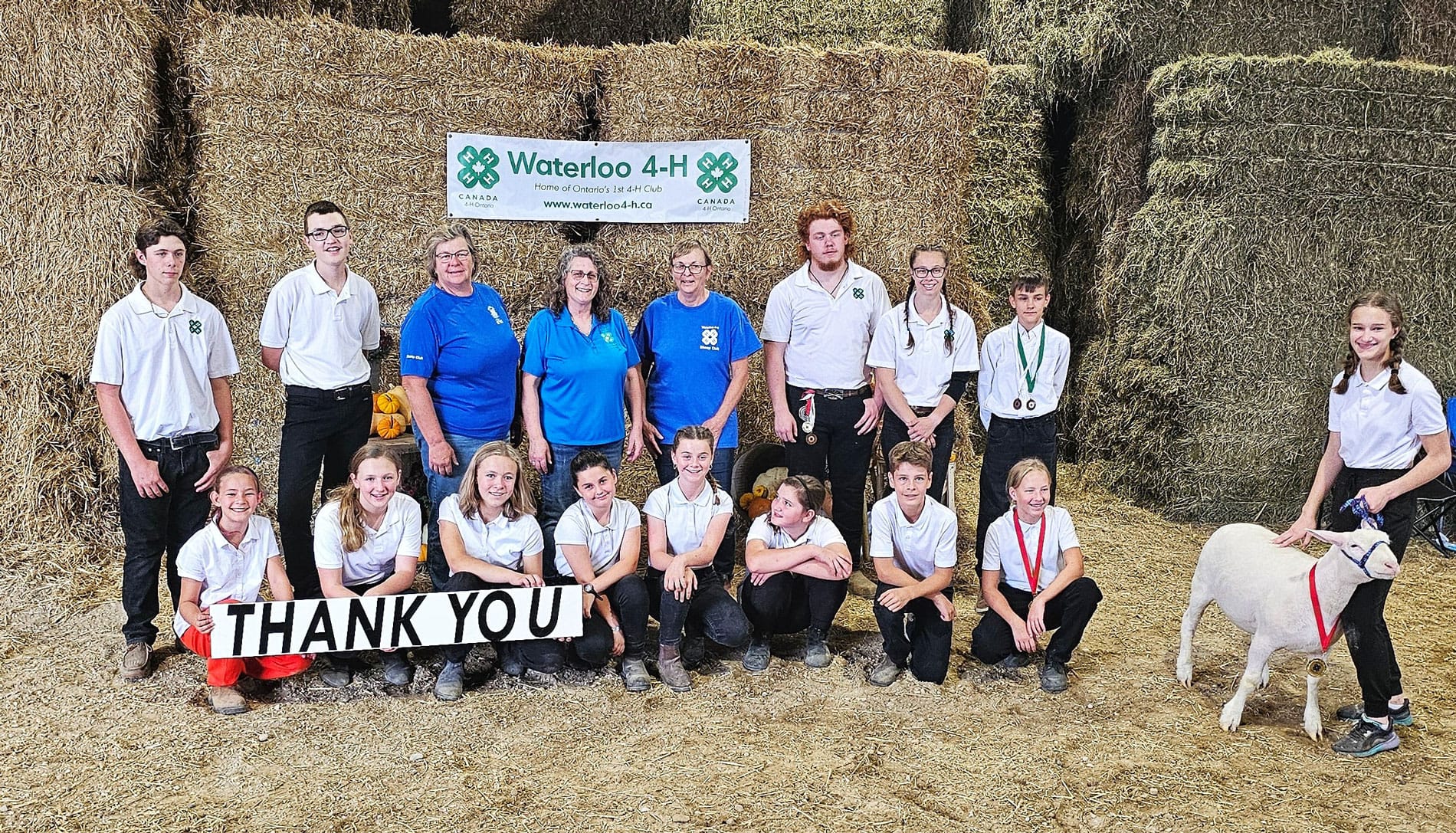 Floradale 4-H Sheep Club Achievement Day