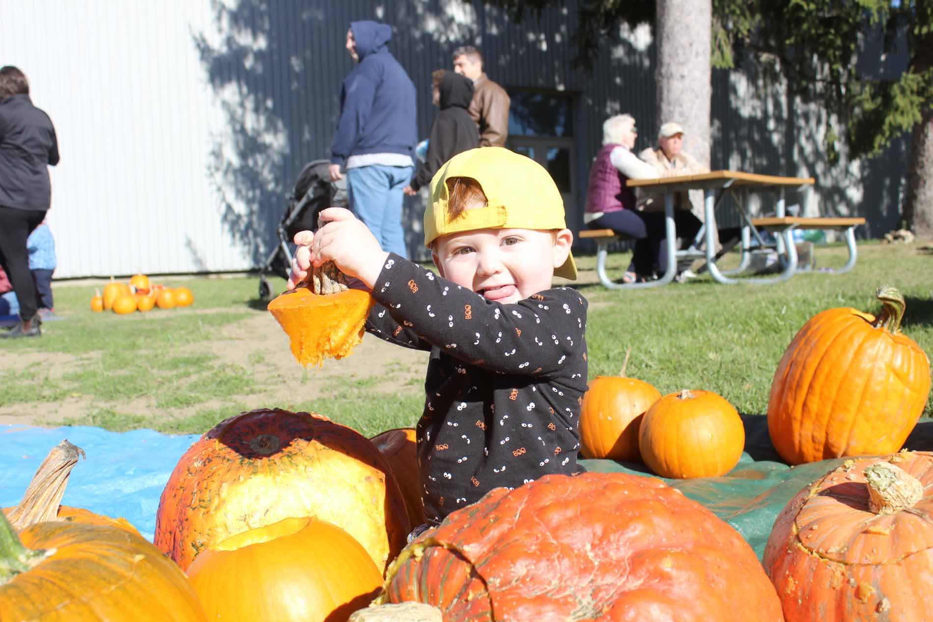 Sensational Elora’s Pumpkin Day brings fall celebration to county museum