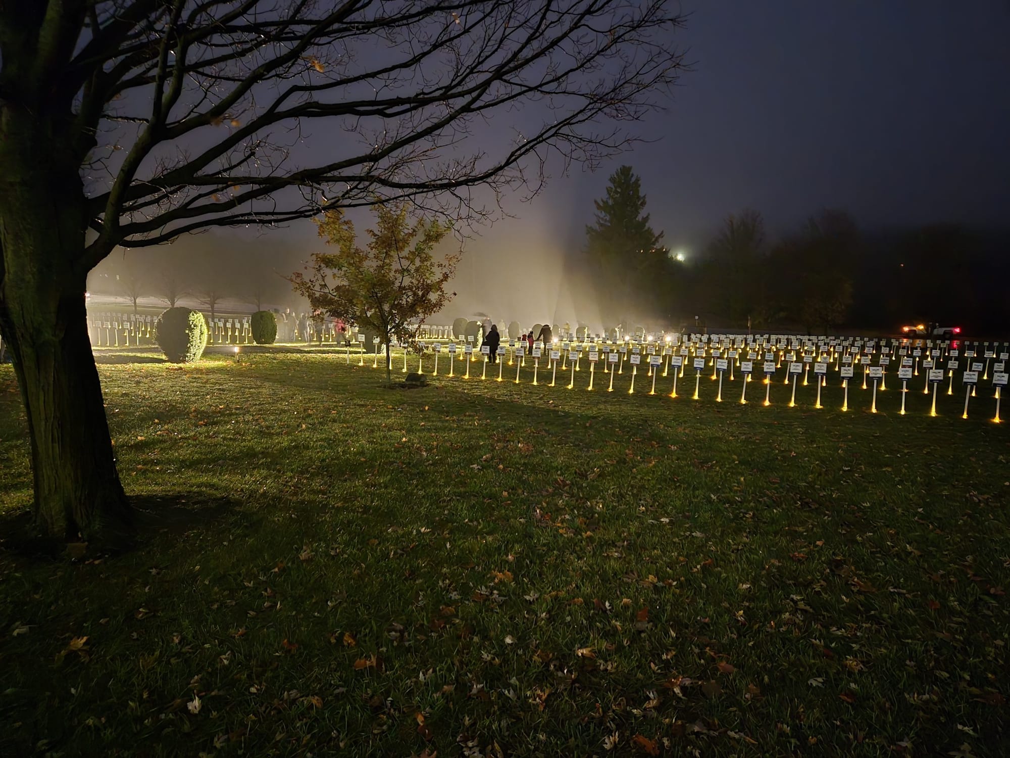 Wellington County Museum places 500 lawn markers for fallen soldiers