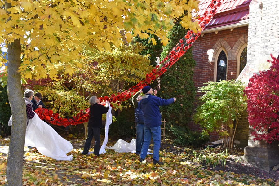 Poppy banners raised for Remembrance Day