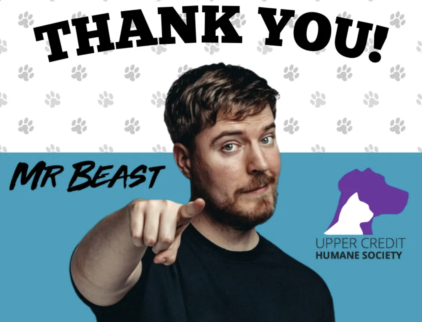 YouTube superstar MrBeast donates to local humane society