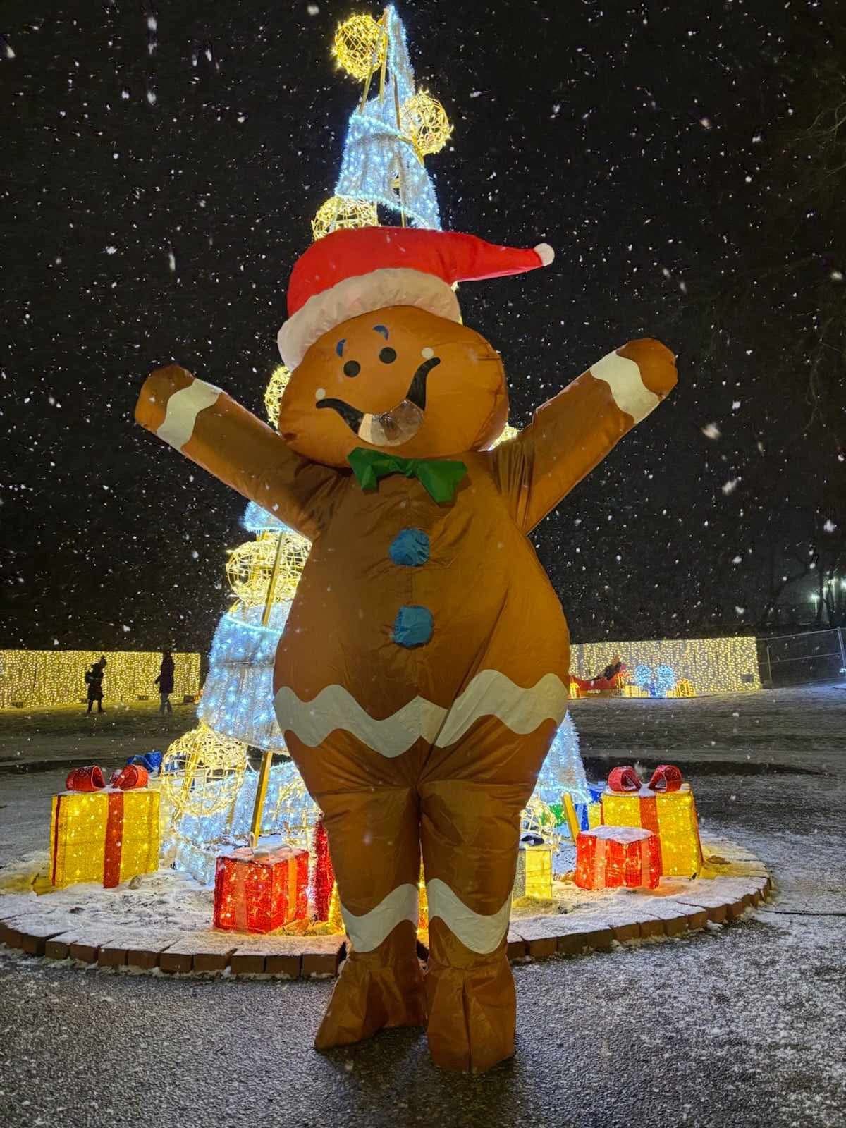 Cornerstone School in Guelph holding a family-friendly fundraiser