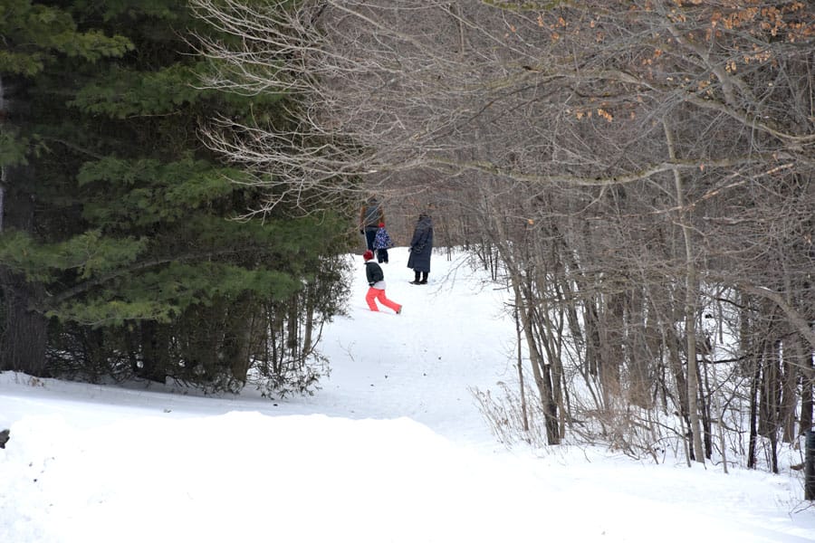 Peaceful Rockwood hike