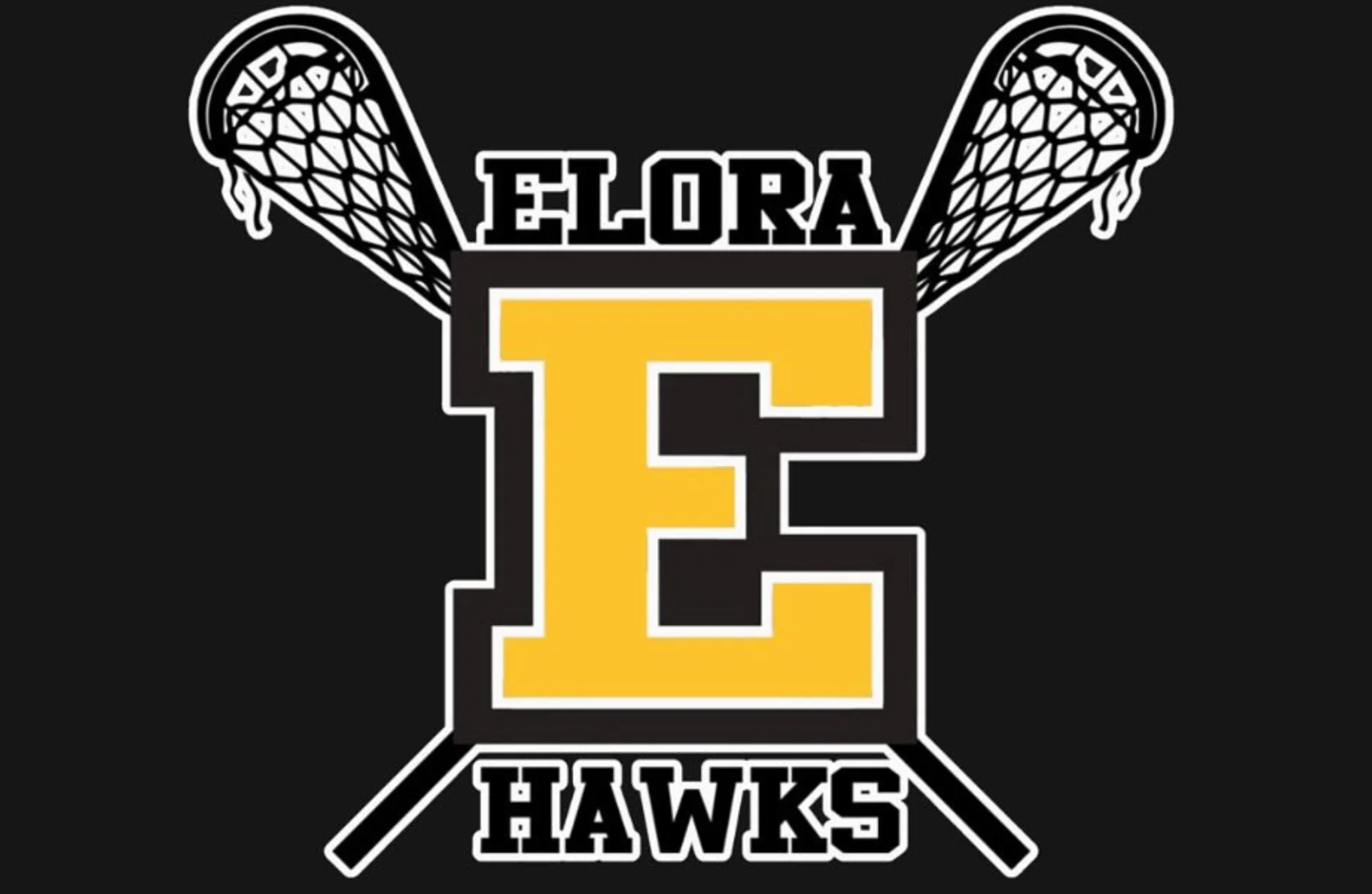 Elora Hawks hope to move up to Junior A league