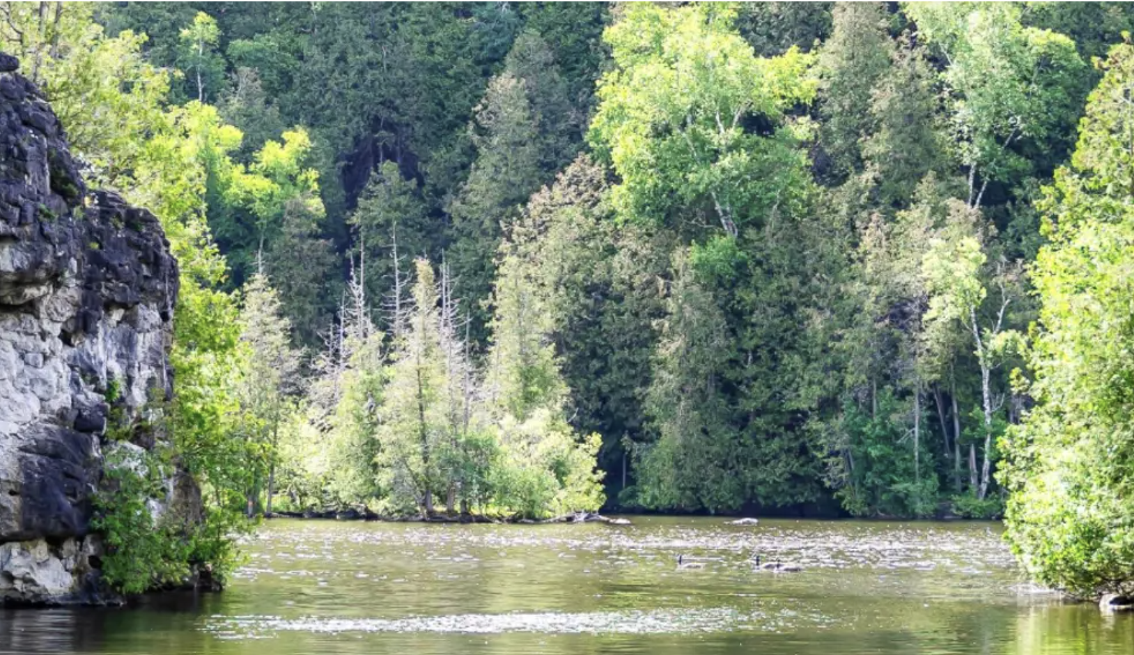Three people rescued after falling into water at conservation area