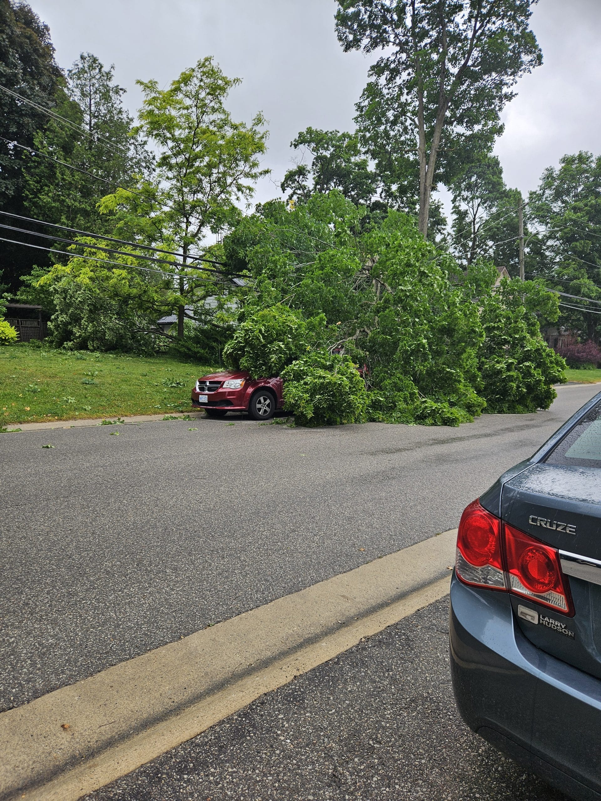 Guelph Street in Rockwood saw damage from strong winds