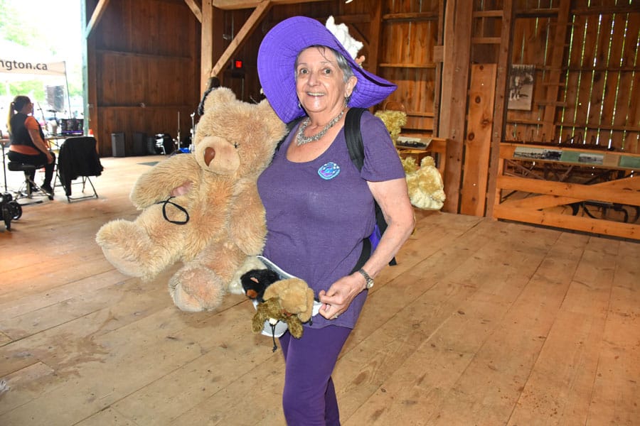 Strawberry festival and teddy bear caper at the Wellington County Museum and Archives