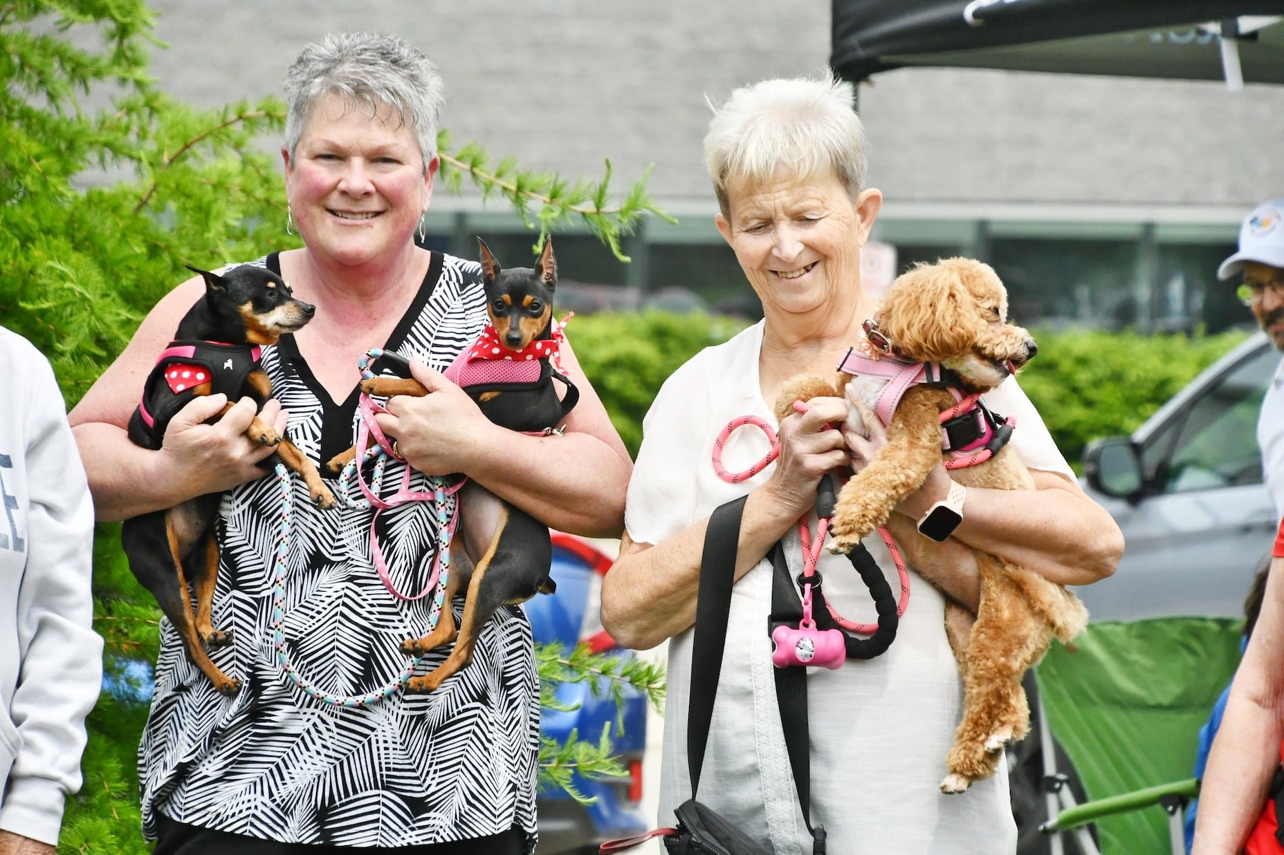 Fergus, Marsville Lions Clubs raise over $11,000 for dog guides