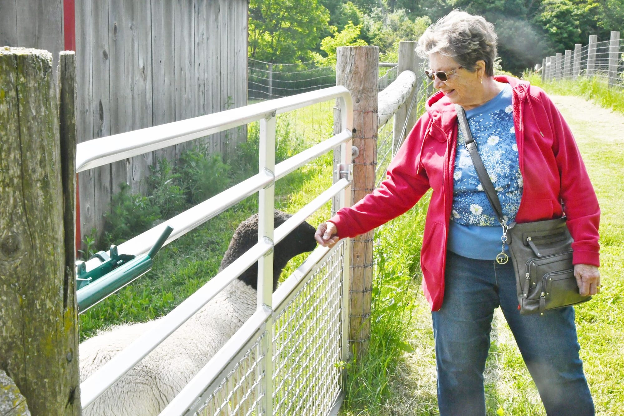 Annual farm tour at Wicked Welly Farm