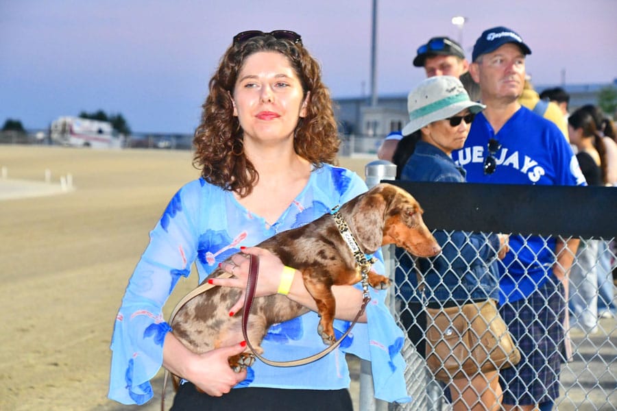 Weiner dog races bring smiles, hot dogs