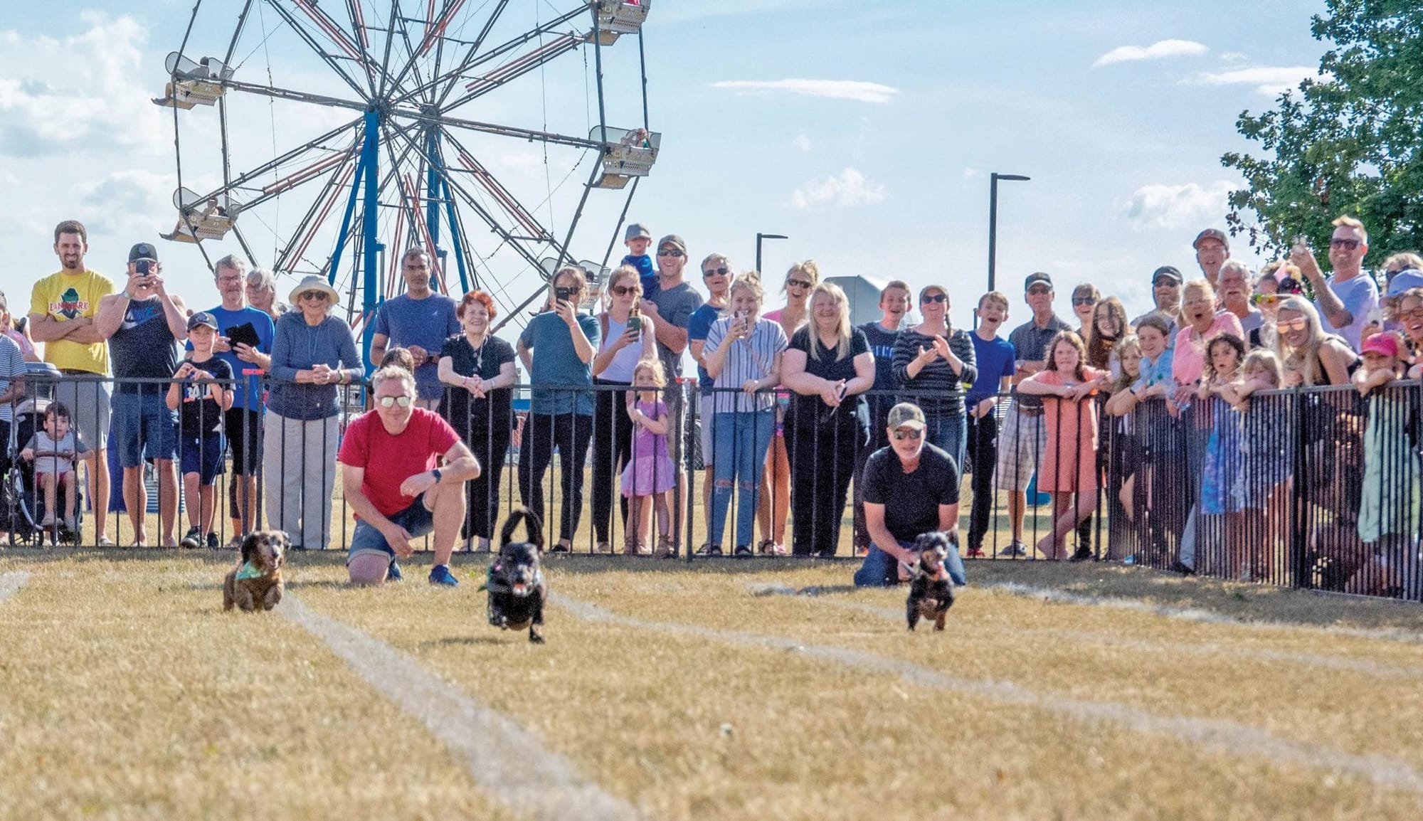 Party in the Park returns to Rockwood