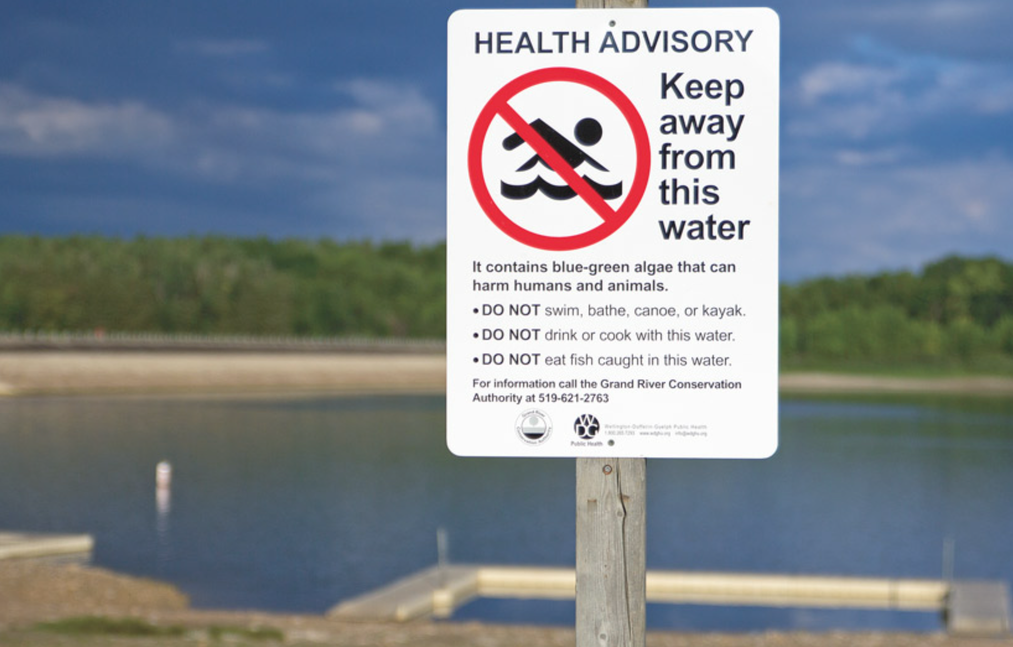 Belwood Lake beach closed due to algae bloom in swimming area