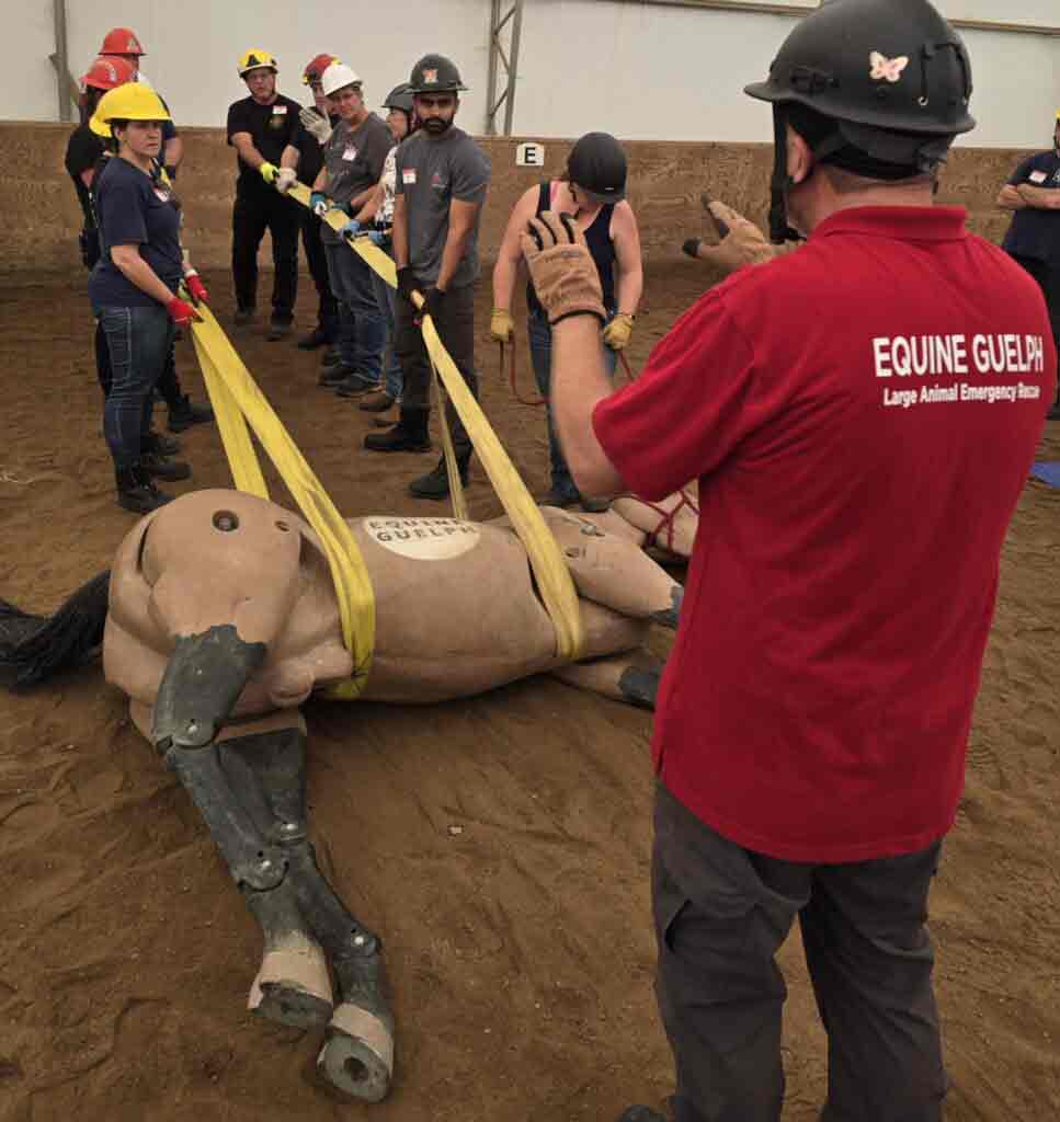 Large animal emergency rescue training heads to Elora after successful Atlantic Canada workshops